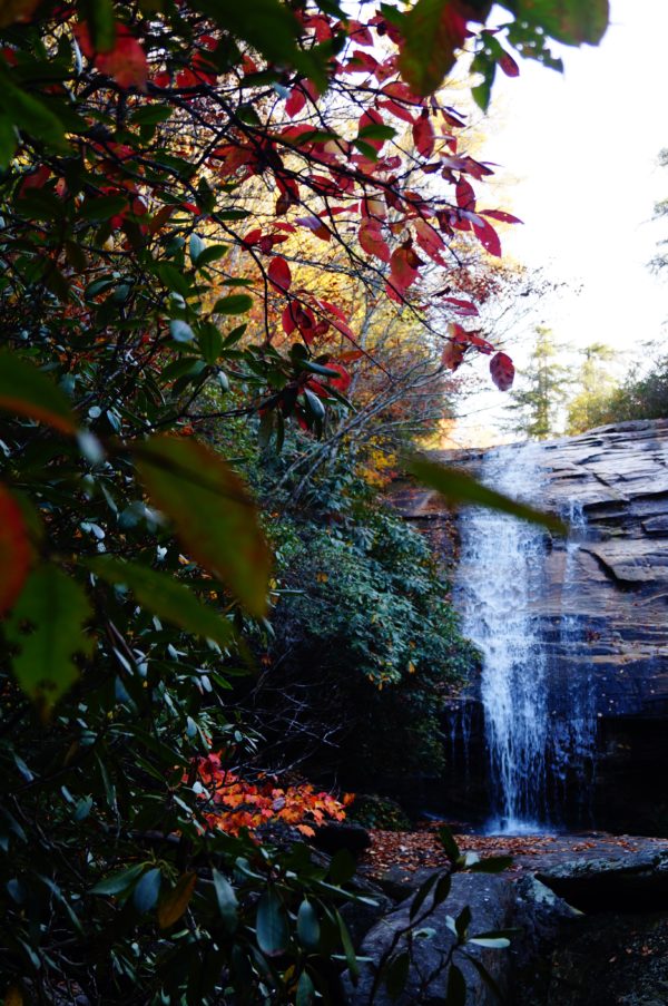 nature meditation