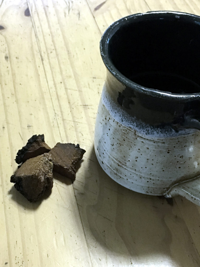 chaga mushrooms