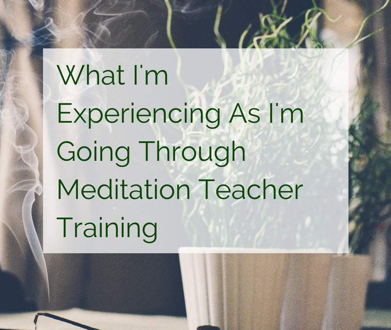 What I’m Experiencing As I’m Going Through Meditation Teacher Training