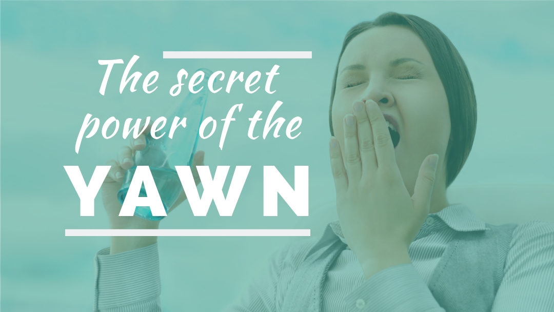 The secret power of the yawn