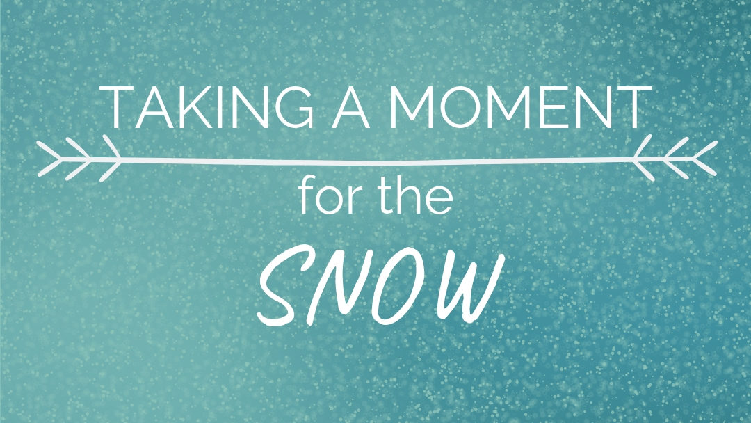 Taking a Moment…For the Snow
