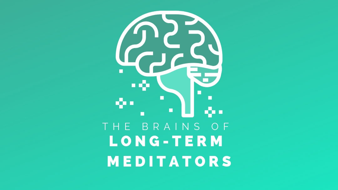 The brains of long-term meditators
